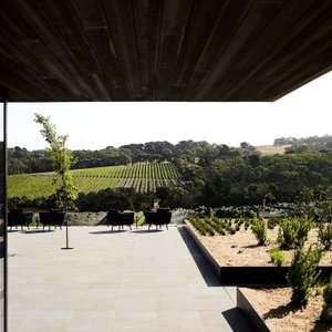 Guest Terrace