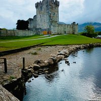 2023 Jaunting Car Tour to Ross Castle from Killarney