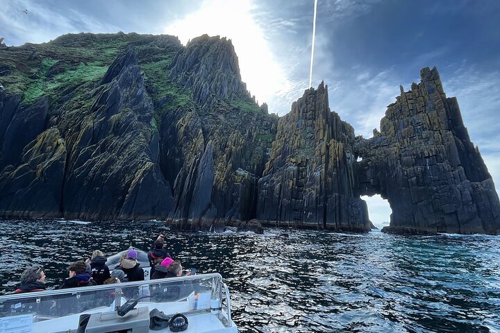 THE 10 BEST Dingle Boat Rides Cruises Updated 2024