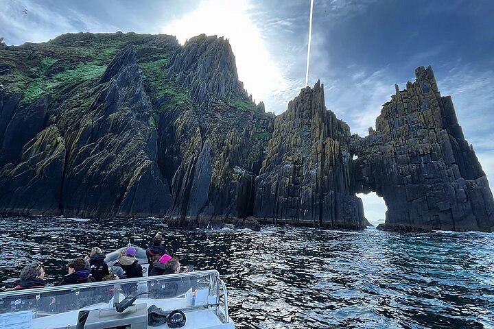 blasket island sealife tours