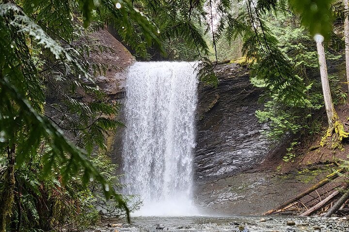 全日游，温哥华岛瀑布、洞穴、古老植物| 加拿大 - Tripadvisor