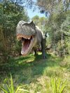 Latest travel itineraries for Dinosaur Park and Leisure Dinolandia in  December (updated in 2023), Dinosaur Park and Leisure Dinolandia reviews,  Dinosaur Park and Leisure Dinolandia address and opening hours, popular  attractions, hotels