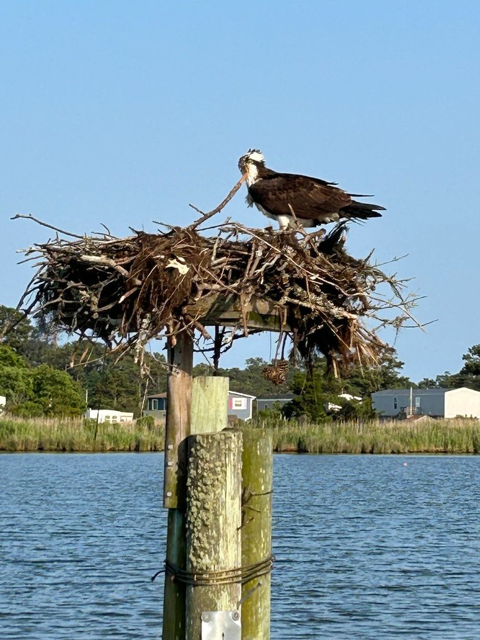 COLINGTON CREEK INN - Updated 2023 Prices & Reviews (Outer Banks, NC ...