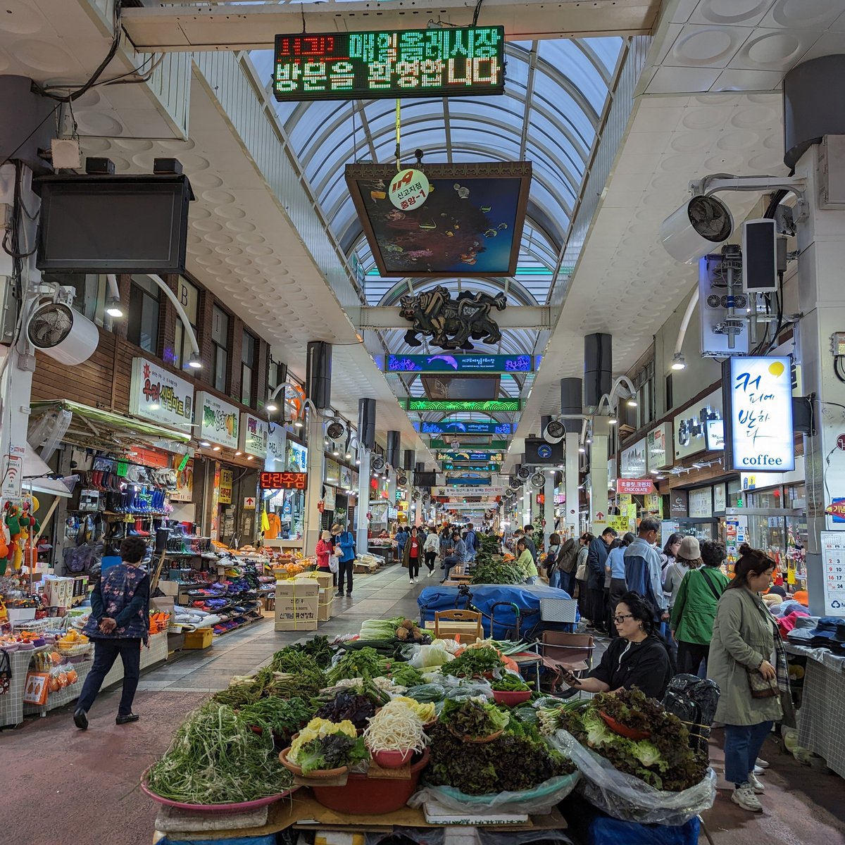 Segowipo Maeil Olle Market (2025) - All You Need to Know BEFORE You Go (with Reviews)