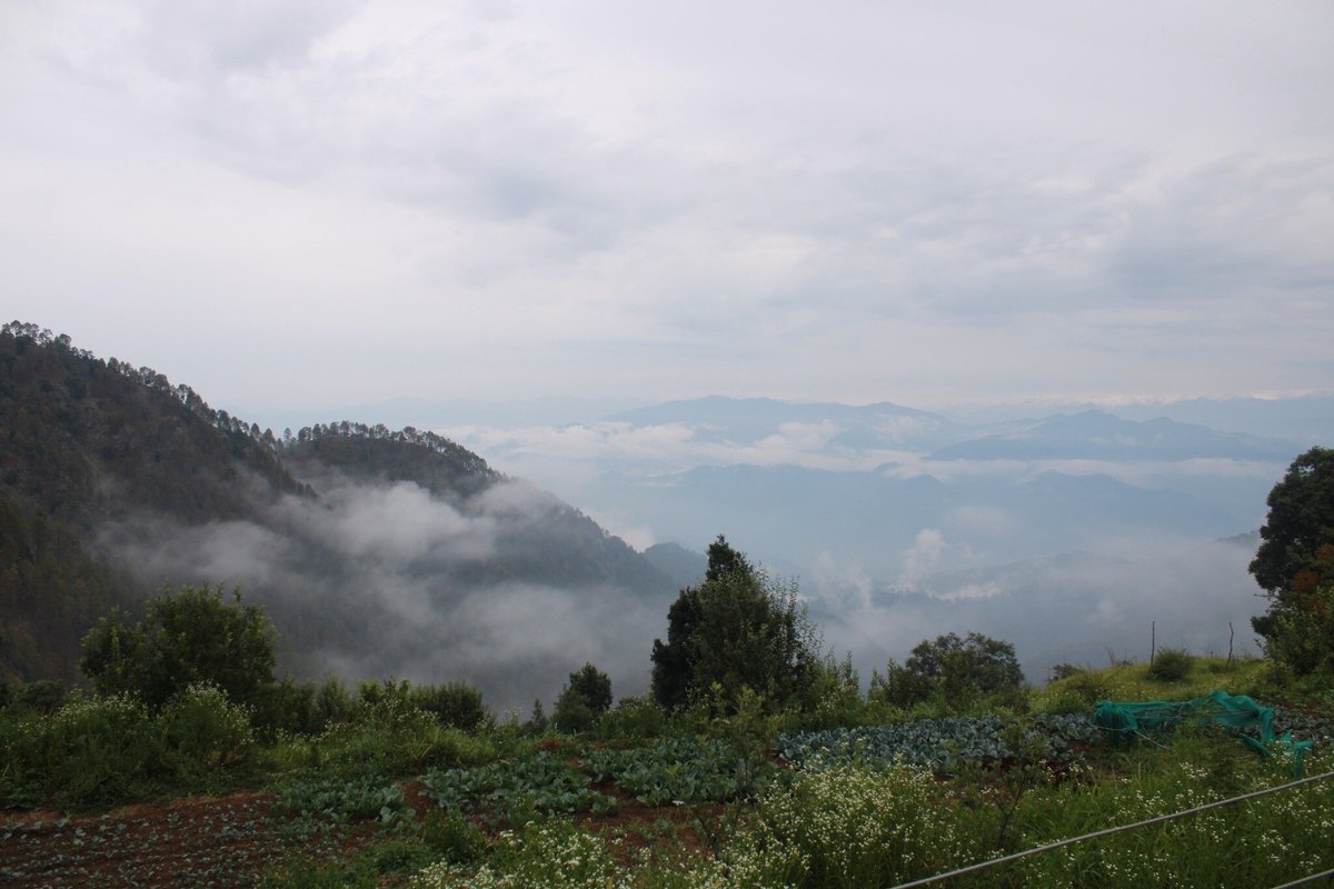 THE BUGYAL (Kanatal) - B&B Reviews, Photos, Rate Comparison - Tripadvisor