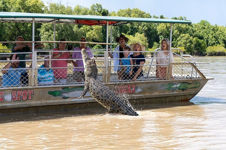 best crocodile cruise darwin