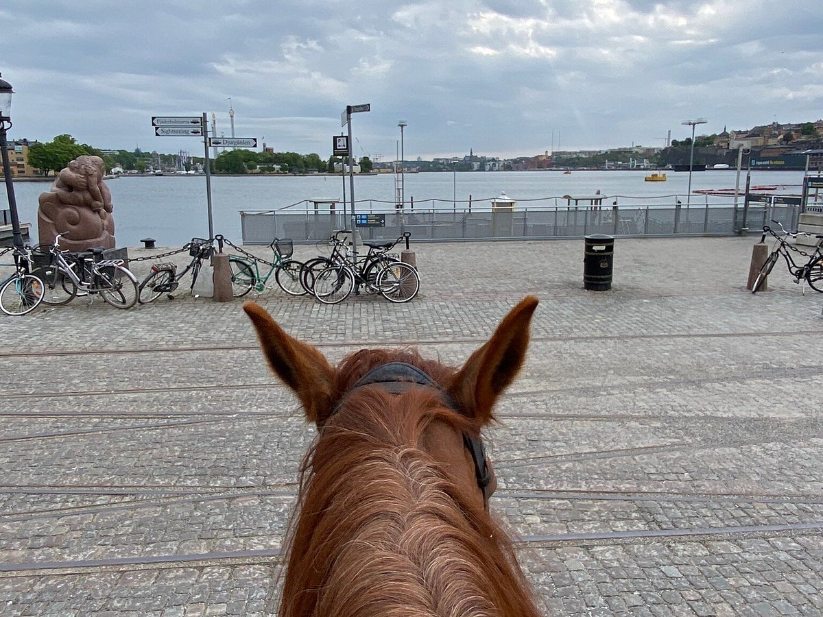 Hobby Horse Jump with Stockholm Horse Week - Visit Stockholm
