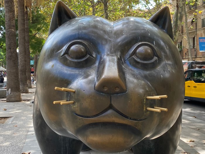 Imagen 4 de Gato de Botero