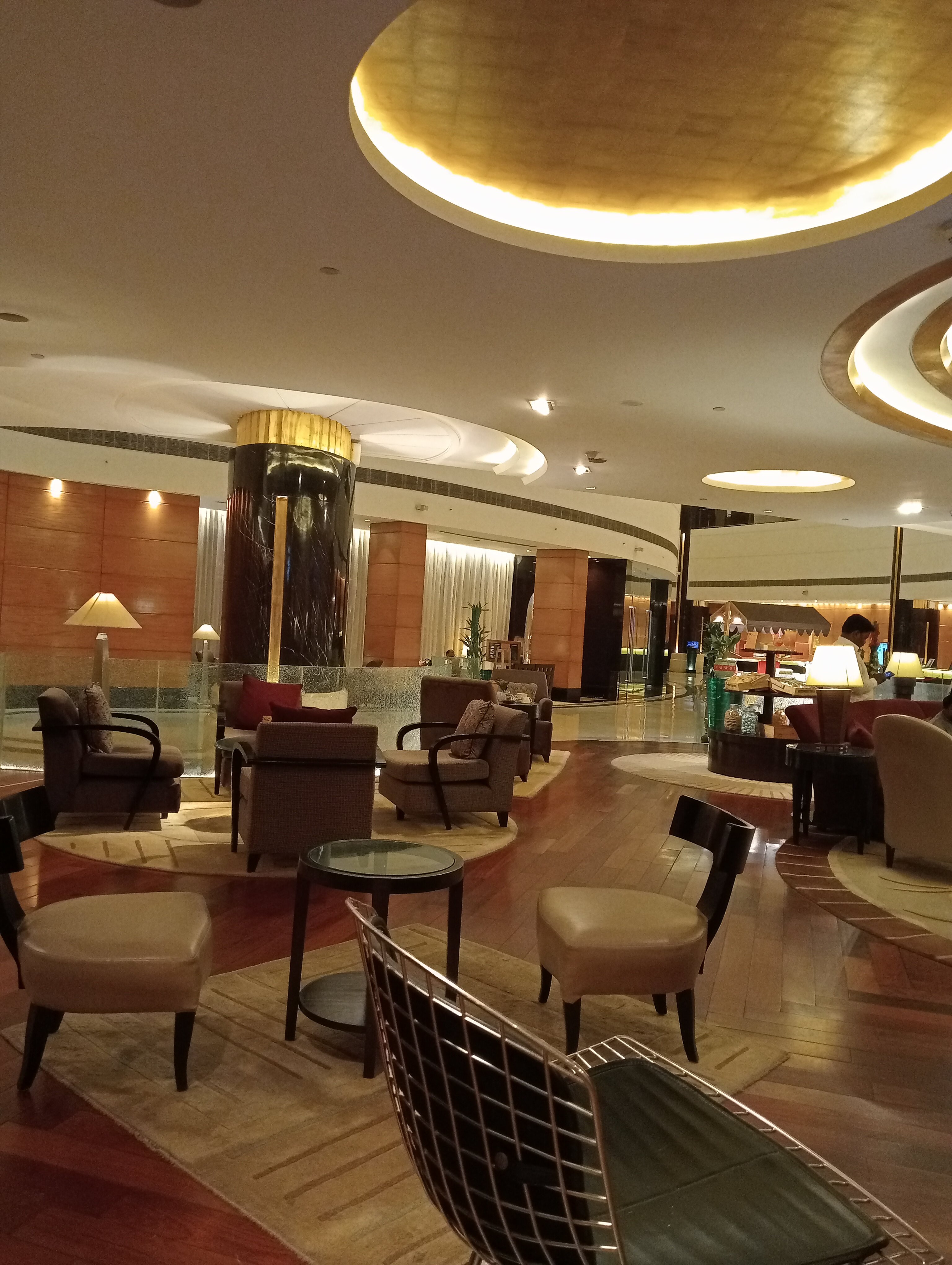 RADISSON BLU PLAZA DELHI AIRPORT (Mahipalpur, India): Opiniones Y Precios