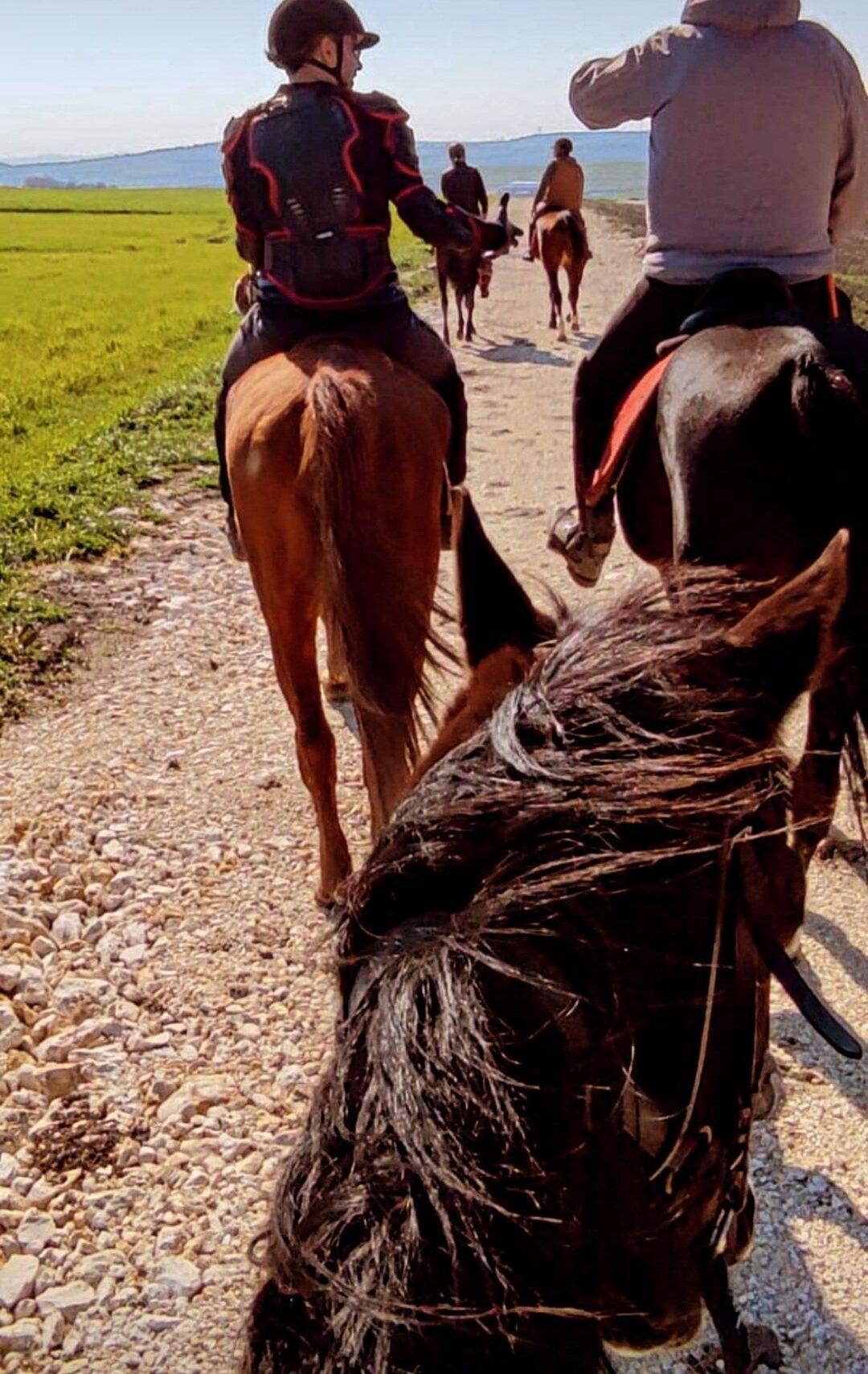 THE 10 BEST Istanbul Horseback Riding Tours Updated 2024