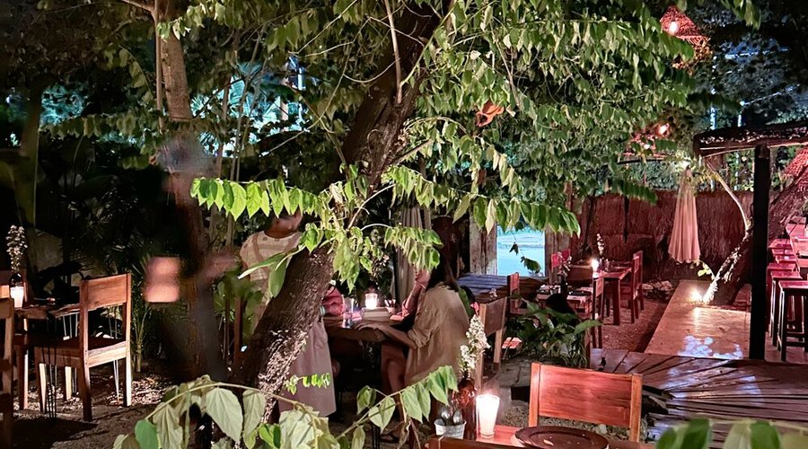 Ubicado en un entorno de jardín sereno, Tierra Ixim ofrece una experiencia gastronómica única.