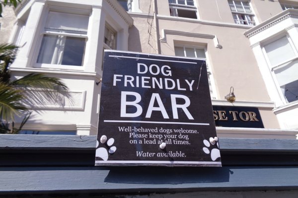 The Best Bars & Pubs in Llandudno - Tripadvisor