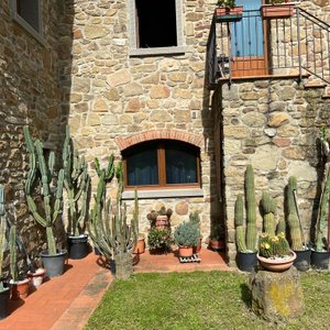 bella struttura con simpatica decorazioni