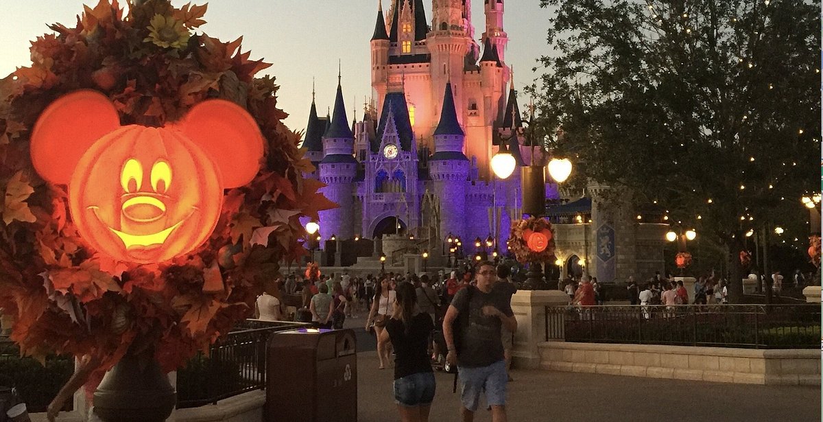 Walt Disney World 2024: Best Places to Visit - Tripadvisor