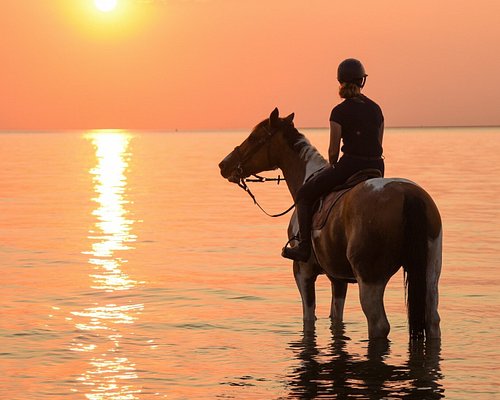 Balade à cheval au coucher du soleil à Étretat