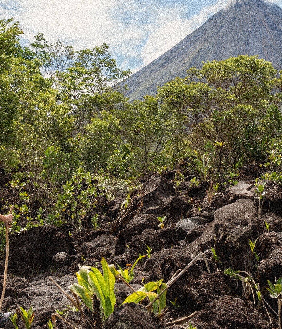 THE 5 BEST Things to Do in El Tabo - 2024 (with Photos) - Tripadvisor