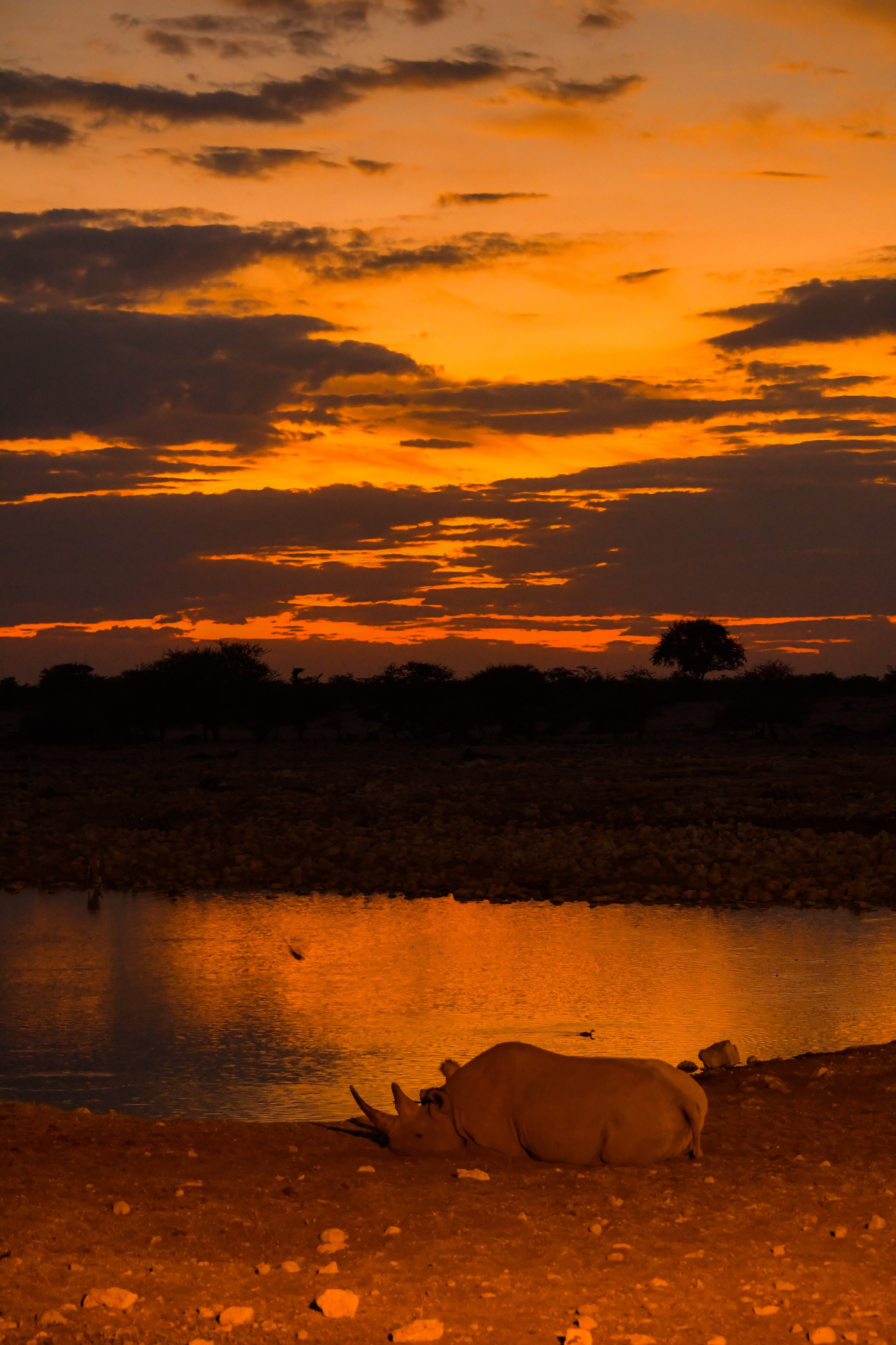 Okaukuejo Camp - UPDATED 2023 Prices, Reviews & Photos (Etosha National ...