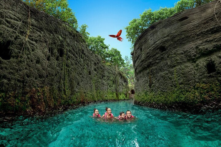 xcaret cancun tripadvisor