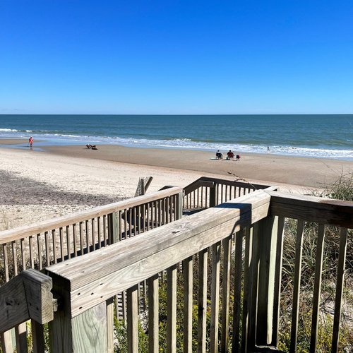 que playas permiten perros en carolina del norte