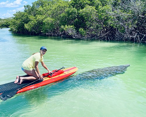 Miami Dolphins Inflatable Stand Up Paddle Board