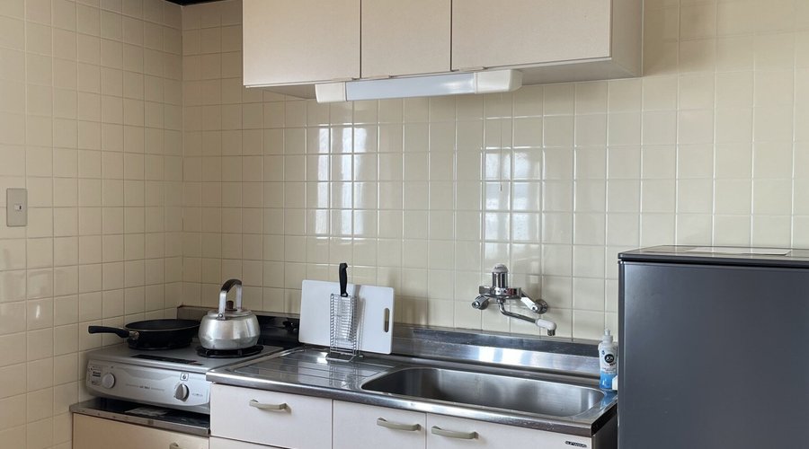 Two stove top burners and decent size fridge/freezer.