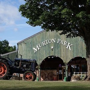 YORK BIRD OF PREY CENTRE - Burn Hall Tollerton Road, Huby, North Yorkshire,  United Kingdom - Zoos - Phone Number - Yelp