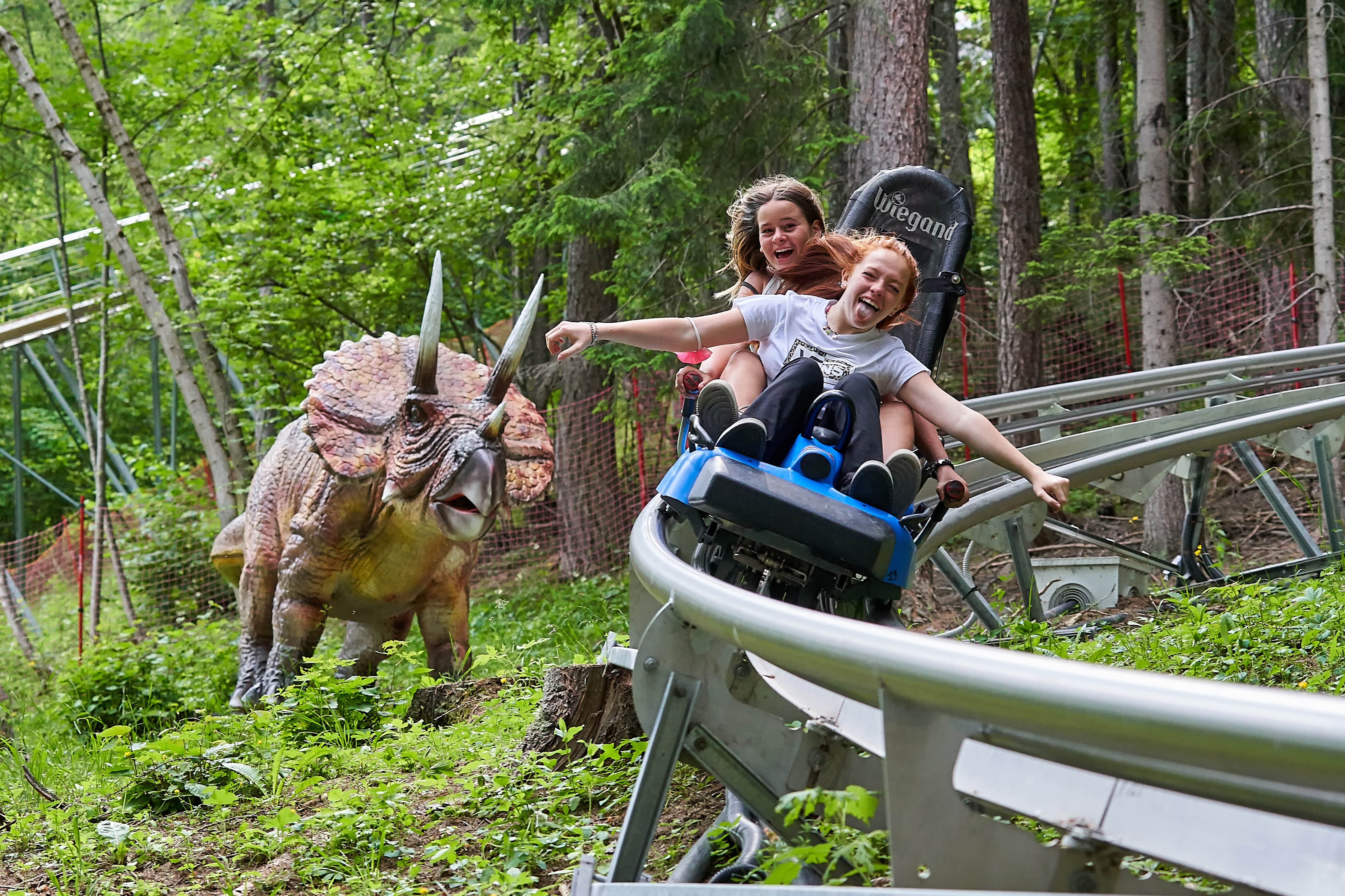 BARDONECCHIA ALPINE COASTER Tutto quello che c da sapere