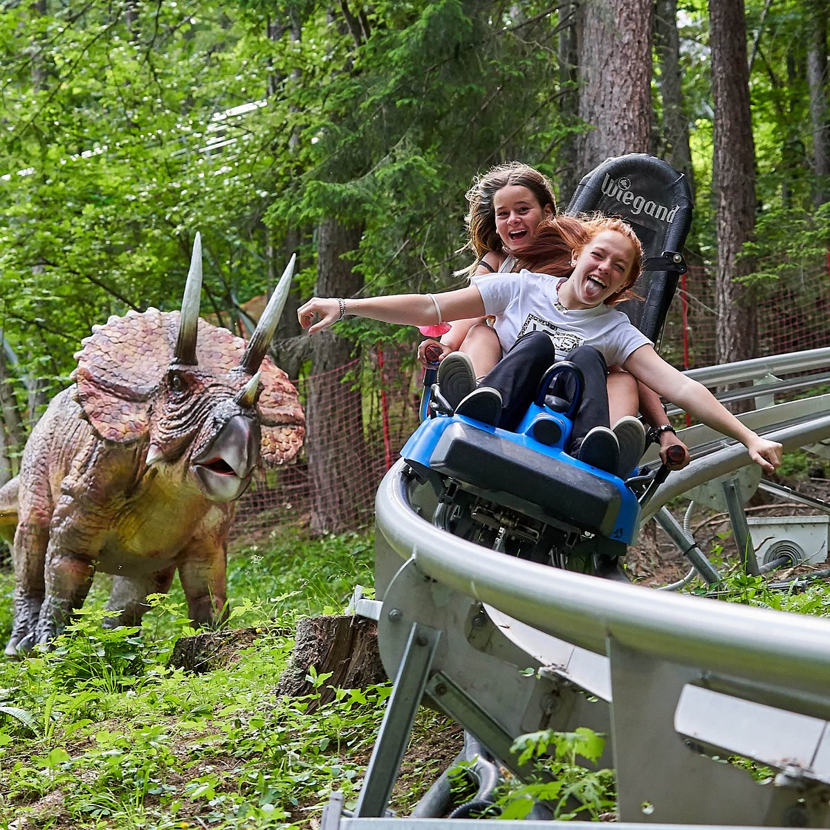 BARDONECCHIA ALPINE COASTER: Tutto quello che c'è da sapere (AGGIORNATO  2024) - Tripadvisor