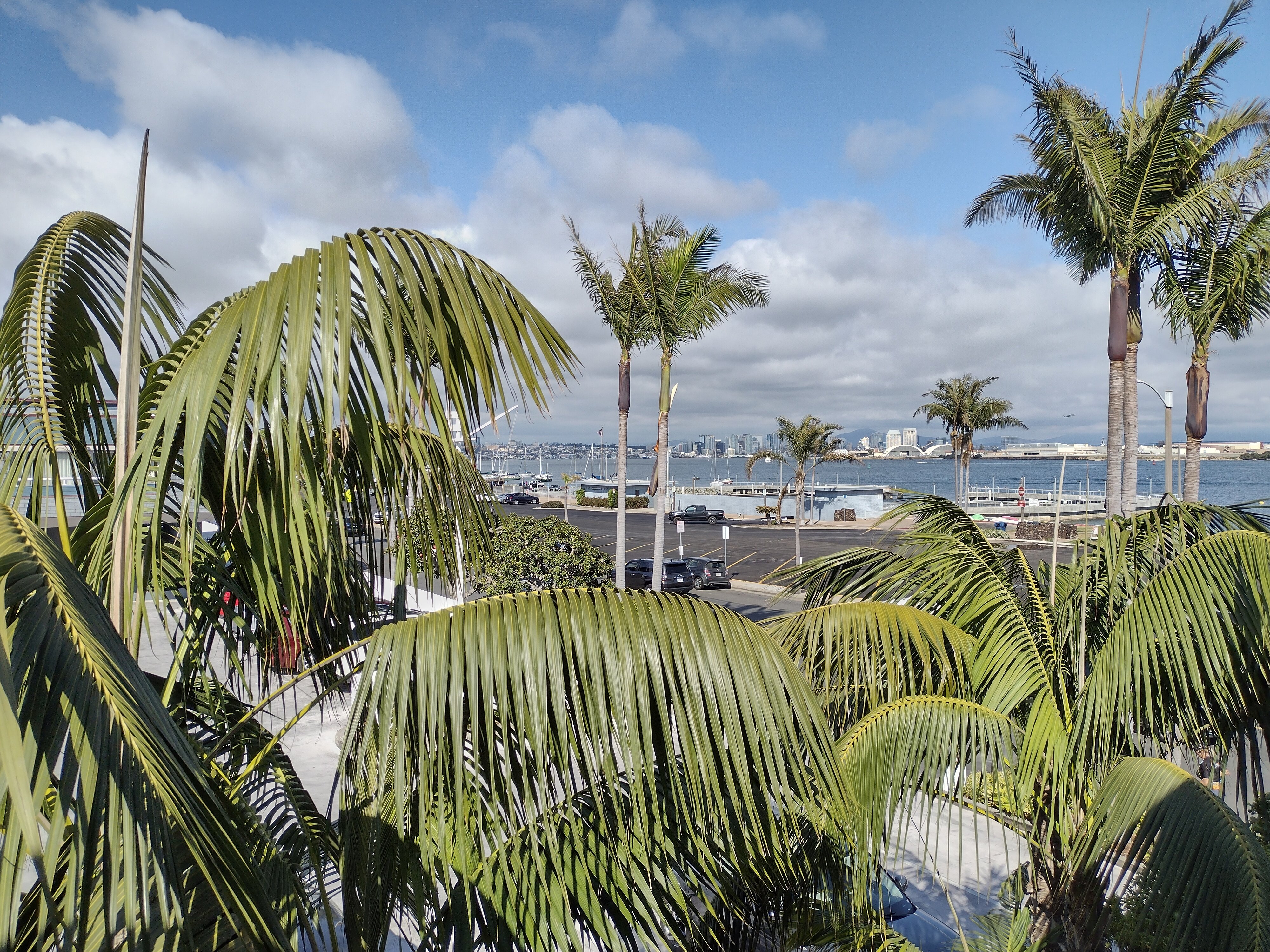 THE BAY CLUB HOTEL & MARINA - Updated 2025 Prices & Reviews