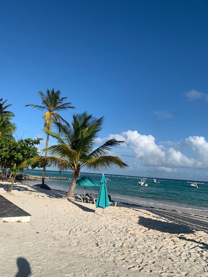 The Sands Barbados - UPDATED 2023 Prices, Reviews & Photos (Worthing ...