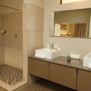 Executive Suite Bathroom