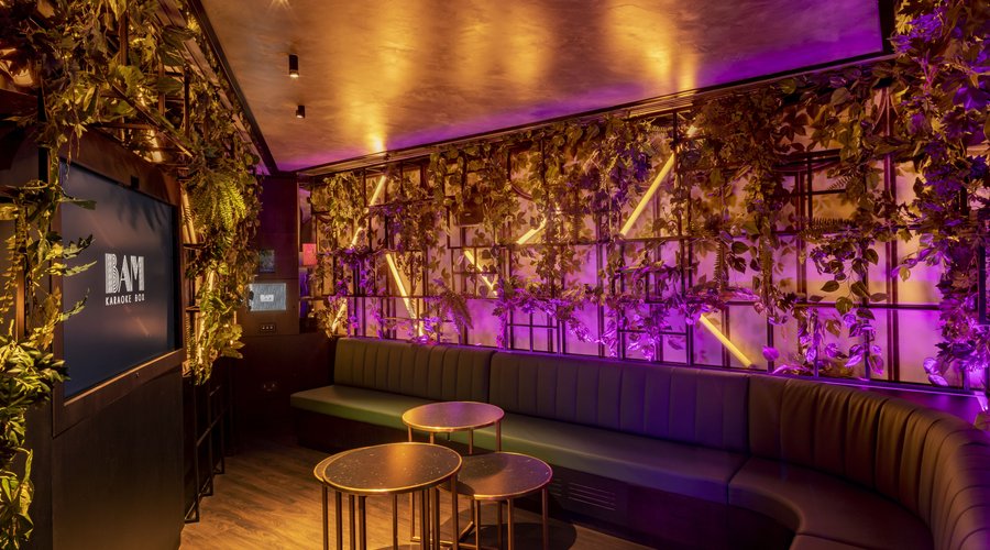 Sala privada de karaoke : El estudio verde