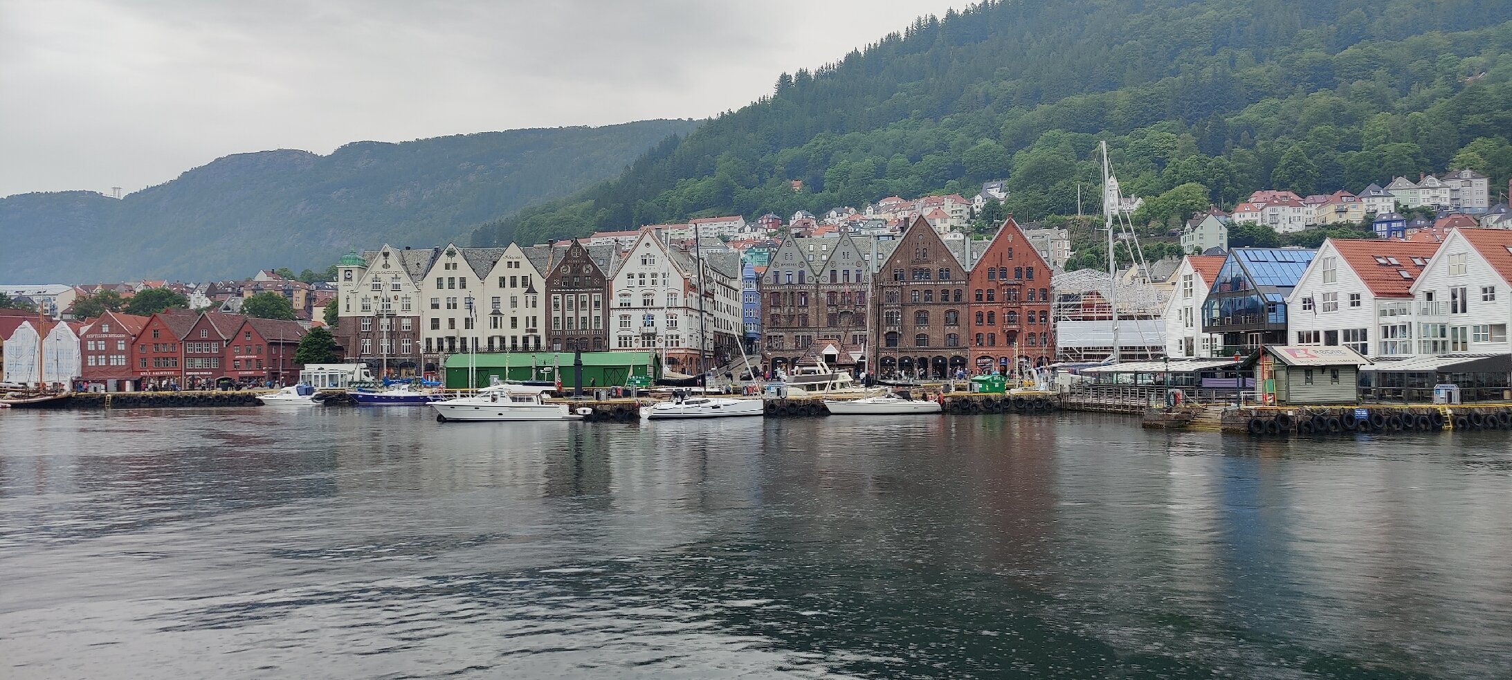 Martins Bergen Tours - 베르겐 - Martins Bergen Tours의 리뷰 - 트립어드바이저