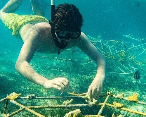 Snorkel lovers + Seafood +Slide Catamaran-Family Friendly