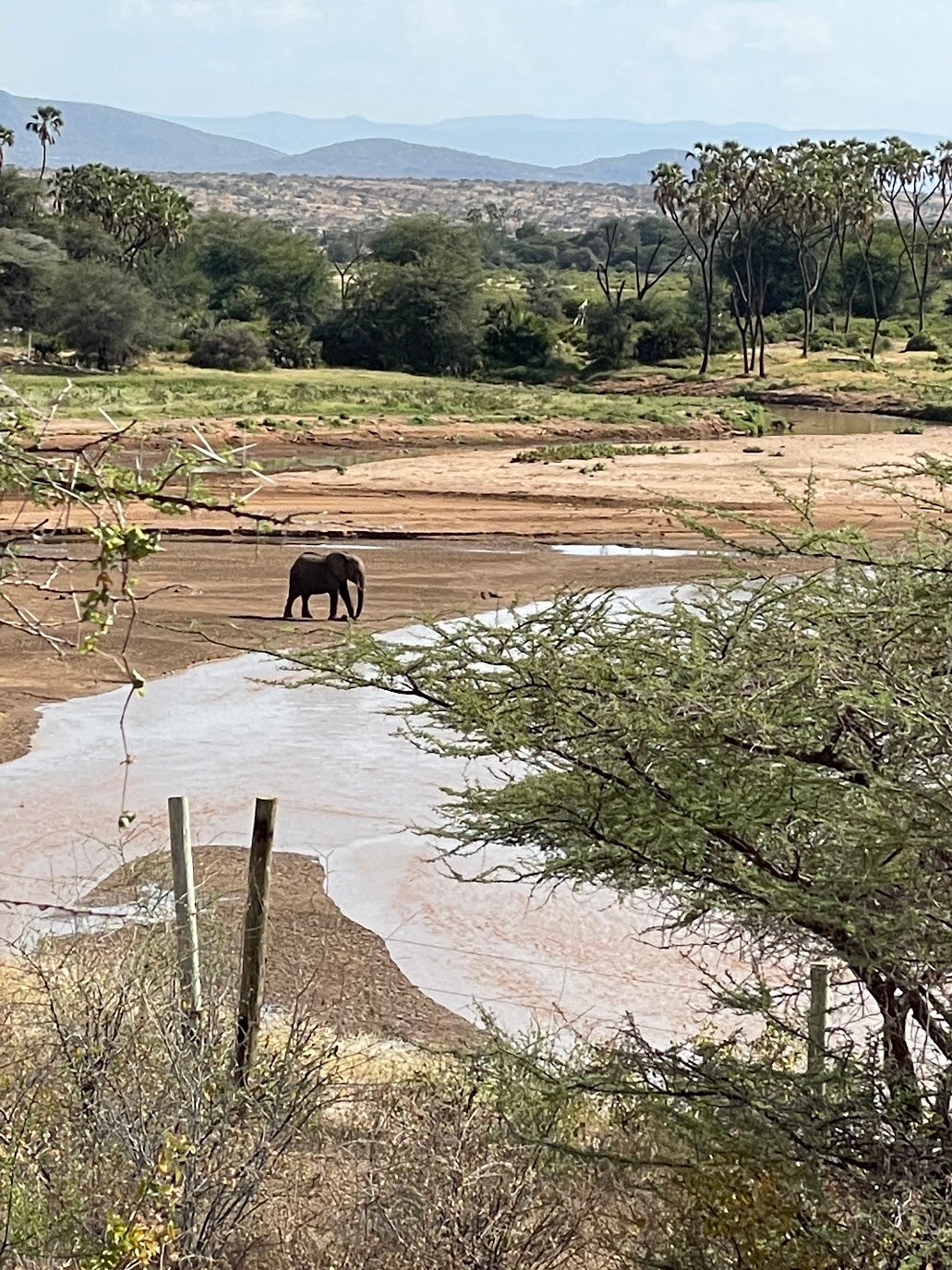 SURANA BUFFALO SPRINGS - Updated 2023 Prices & B&B Reviews (Nairobi, Kenya)