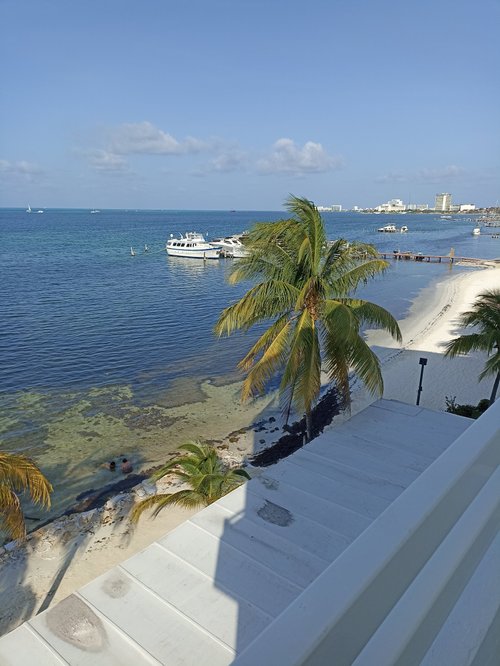 Ocean View Cancun Arenas C̶̶4̶5̶1̶ C121 Updated Prices Reviews