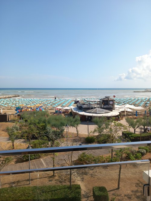 HOTEL PALOMA - Prices & Reviews (Rimini, Italy)