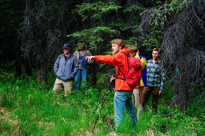 Denali shop walking tour