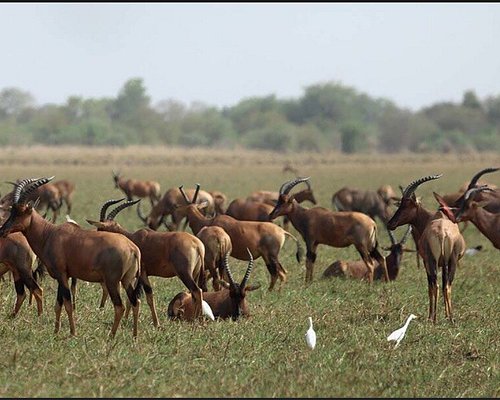 top tourist attractions in south sudan