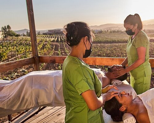 tour ensenada valle de guadalupe