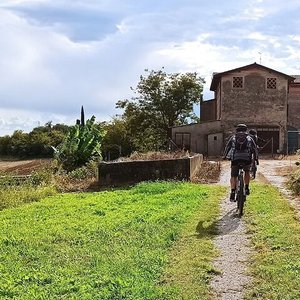 Itinerari nelle Marche: Beekeepers for a day! - Rurally