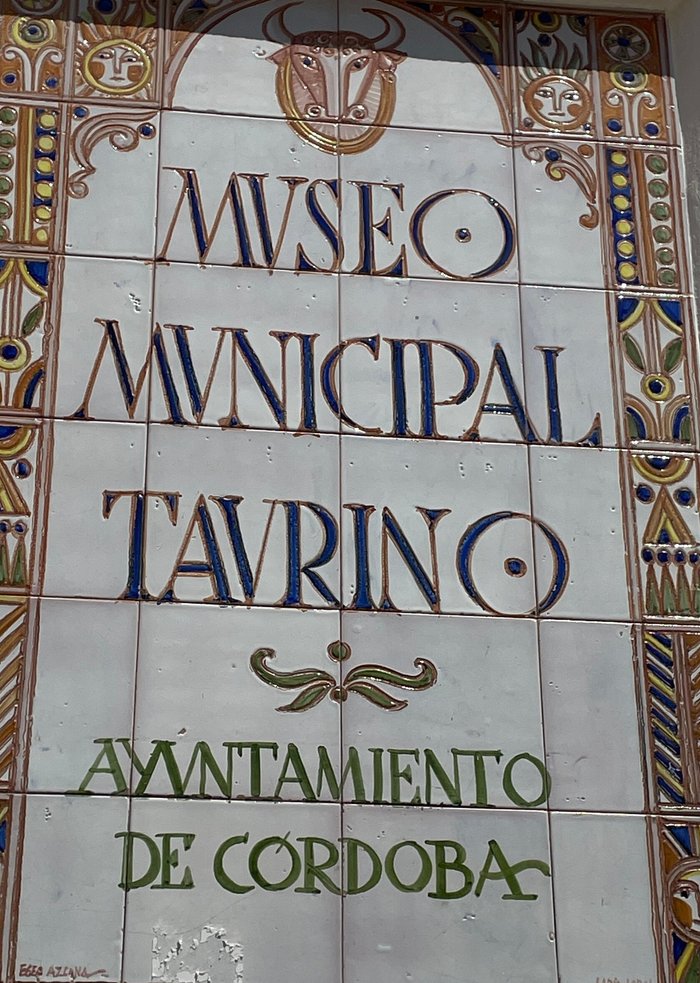 Imagen 10 de Museo Municipal de Arte Taurino