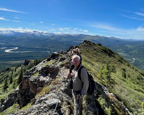 Midnight Sun Safaris – Alaska's Foremost Horseback Outfitters