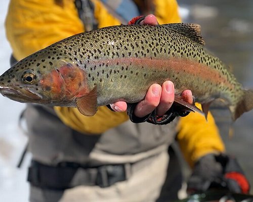 FLY FISHING IN COLORADO, 4 DAYS HIKING & FISHING