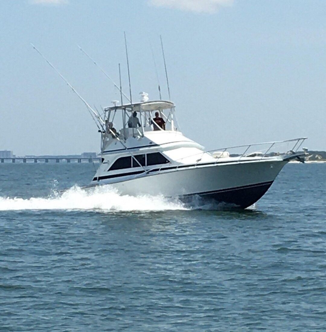 Salty Girl Charters (Norfolk, VA) Hours, Address Tripadvisor