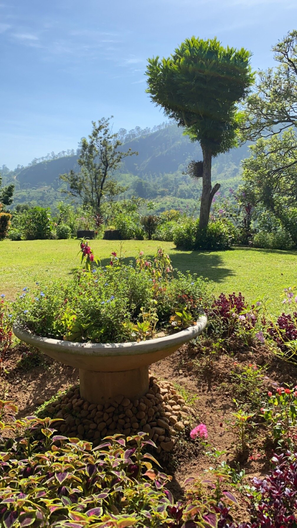 THE 6TH MILEPOST TEA BUNGALOW - B&B Reviews (Bandarawela, Sri Lanka)