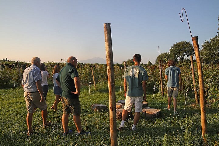 Itinerari nelle Marche: Beekeepers for a day! - Rurally