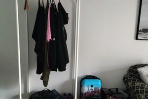 旅行者の写真