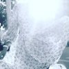 Aliia