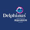 Delphinus Acuario